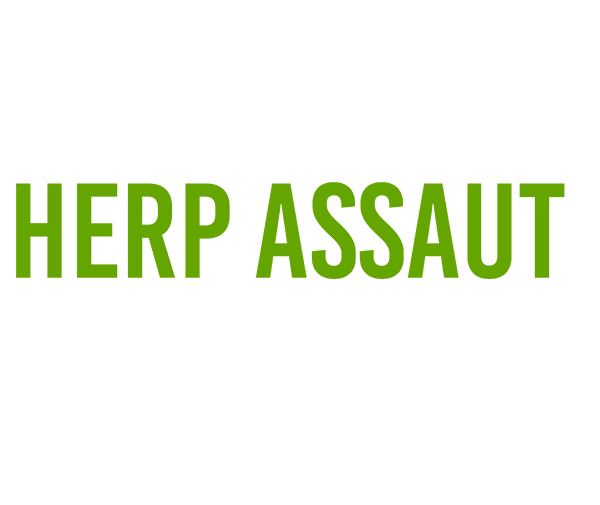 Herp Assaut