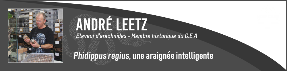 André Leetz