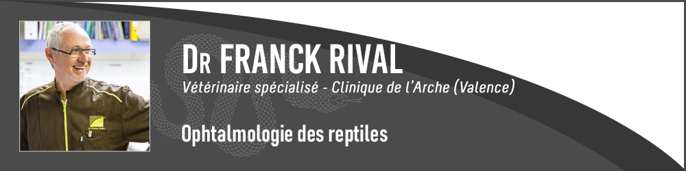 Franck Rival