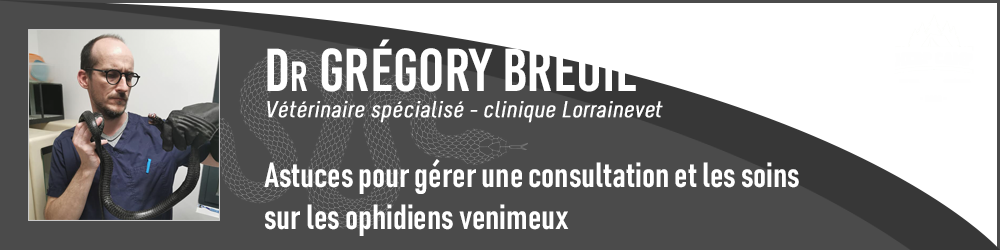 Grégory Breuil